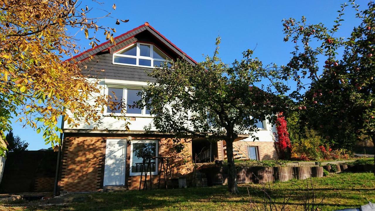 Am Rehberg Apartment